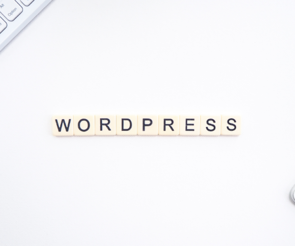 Future of WordPress Design and Development Services