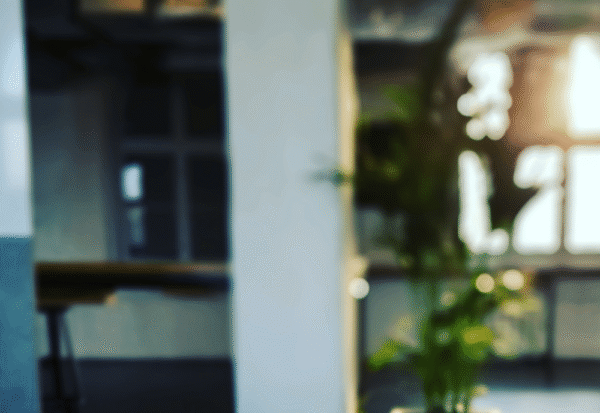 Why Choose Professional Website Design & Development in Ahmedabad?